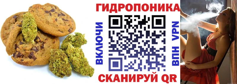 МЕГА ONION  Бирюсинск  Cannafood конопля 