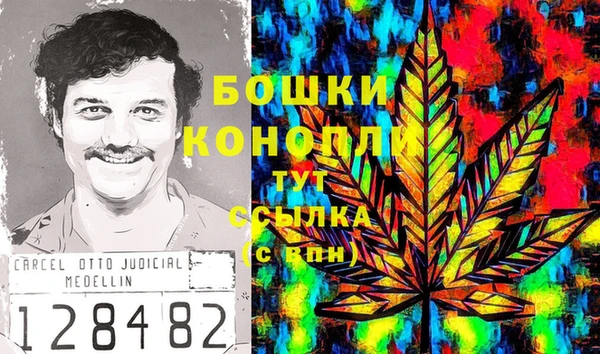 гидра Белоозёрский