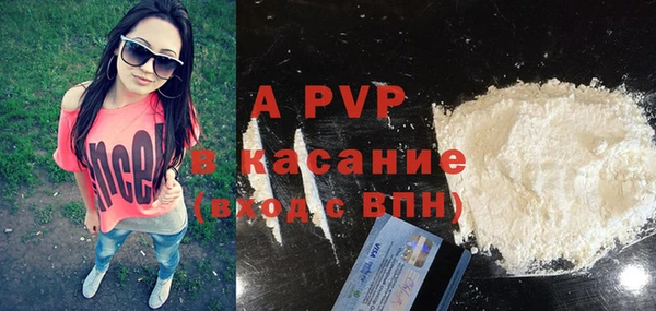 гидра Богородицк
