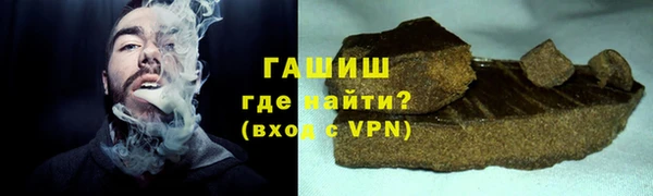 гидра Богородицк