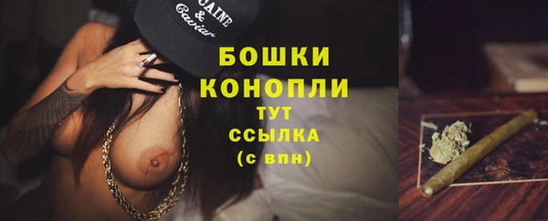 гидра Богородицк
