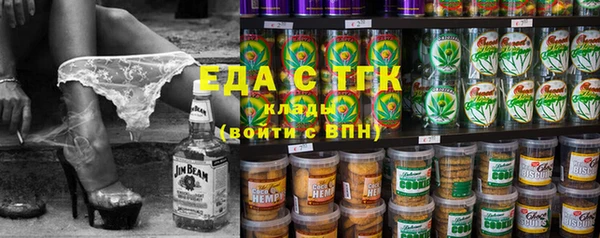 гидра Богородицк