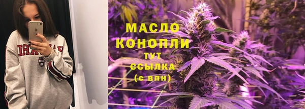 гидра Богородицк