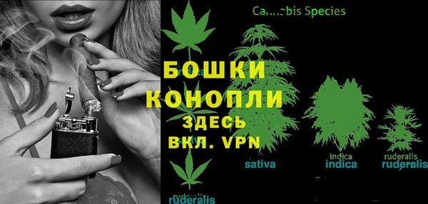гидра Богородицк
