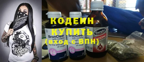 гидра Богородицк