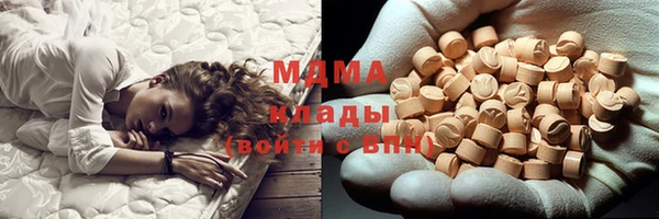 гидра Богородицк