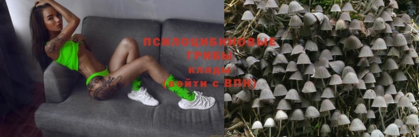 героин Богданович