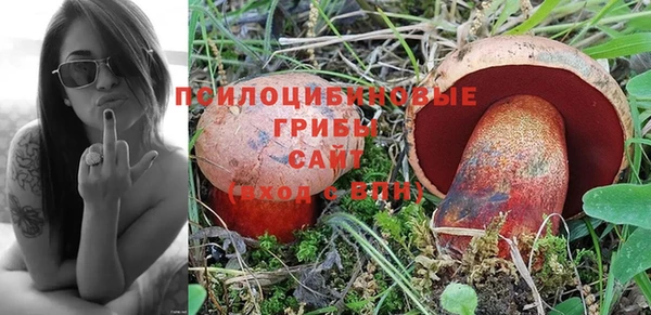 героин Богданович